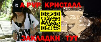 гидра Кингисепп