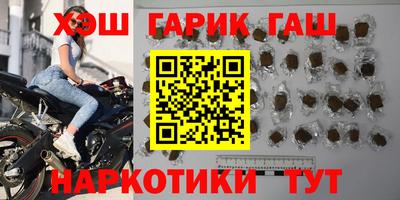 гидра Кингисепп