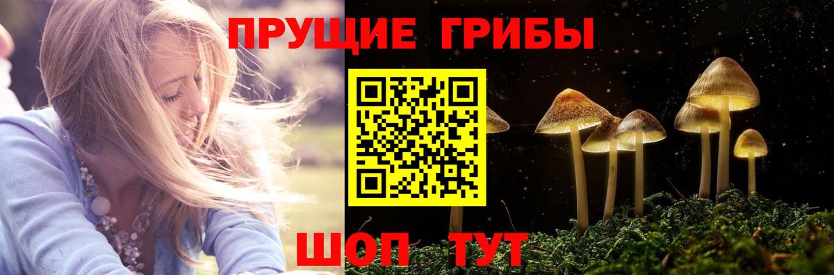 Балтийск  Псилоцибиновые грибы мицелий  Вход с VPN 